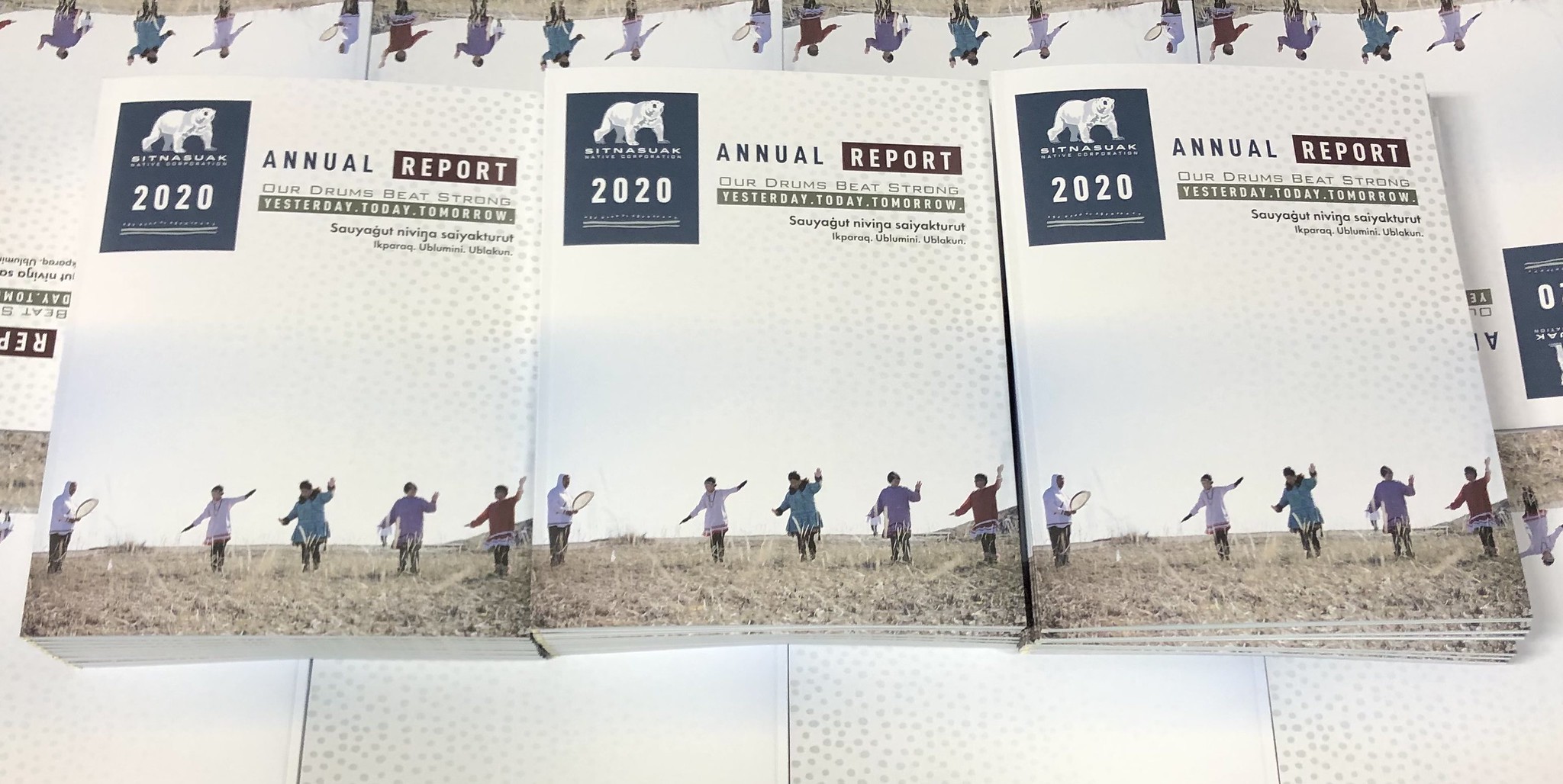 annual report