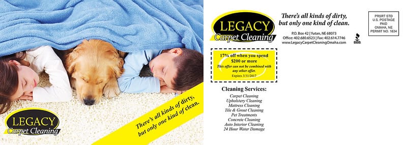Listing and Coupon Mailer for Carpet Cleaning